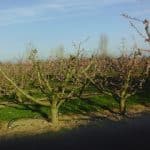 Gasolinera AGROSERVEIS en Almacelles