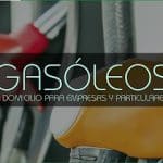 Gasolinera ESTACION DE SERVICIO VALLE DE TRUBIA S.L. en Proaza