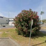 Gasolinera REPSOL en Jerez de la Frontera